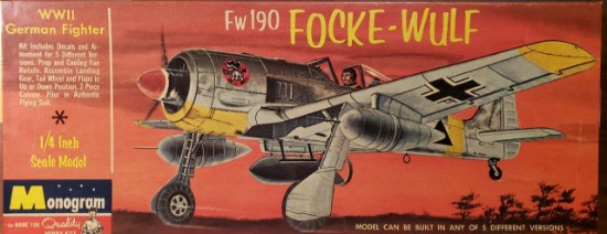 Picture of Focke-Wulf FW190 Fighter